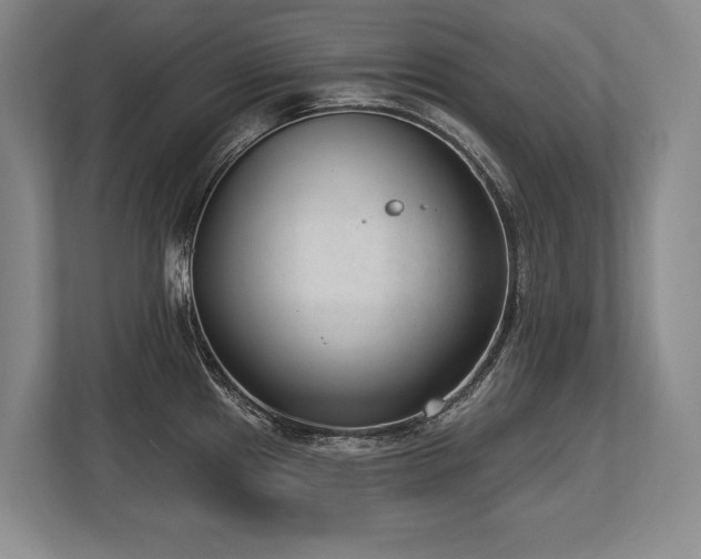 X0000113741241200909231146