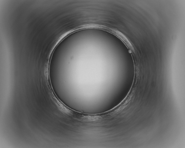 X0000113741244200909231146