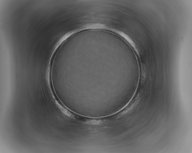 X0000113741245200909231146