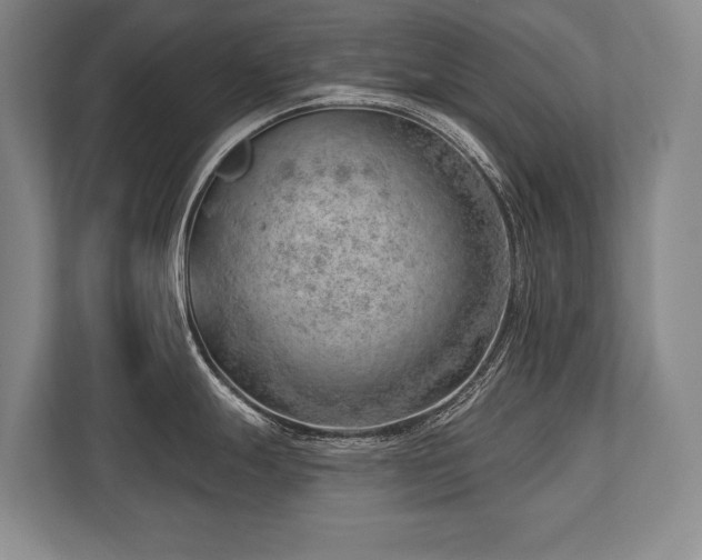 X0000113741247200909231146