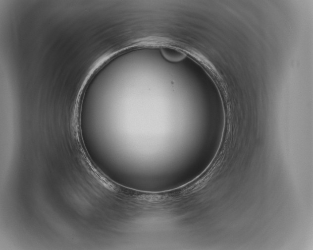 X0000113741248200909231146