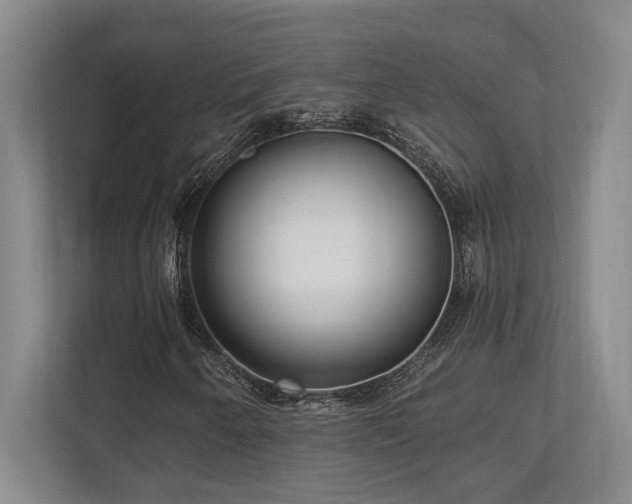 X0000113741250200909231145