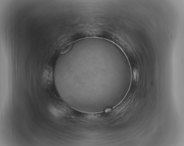 X0000113741251200909231145