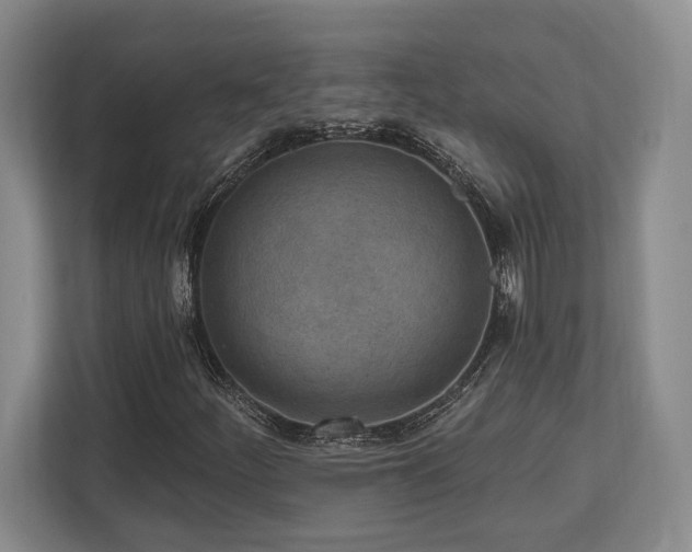 X0000113741252200909231145