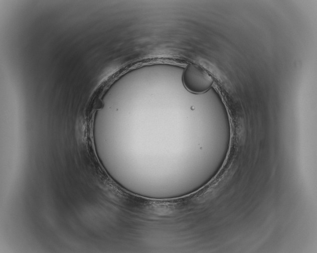 X0000113741258200909231145
