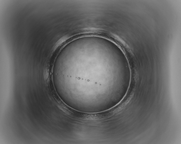 X0000113741259200909231145