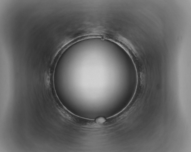 X0000113741260200909231145