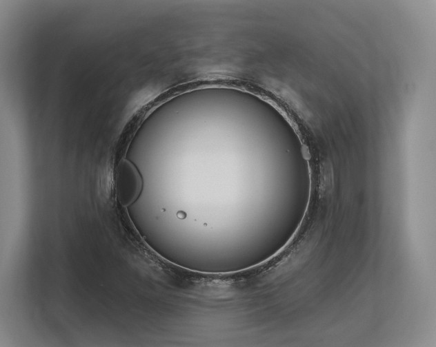 X0000113741261200909231145