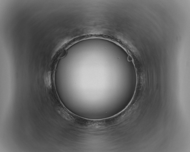 X0000113741262200909231145