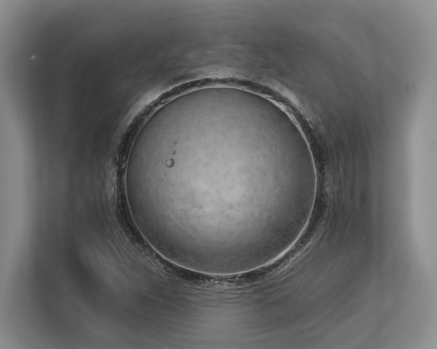 X0000113741263200909231145