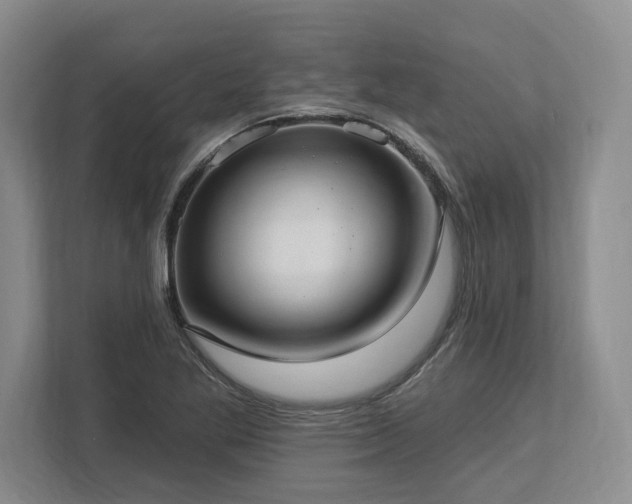 X0000113741269200909231145