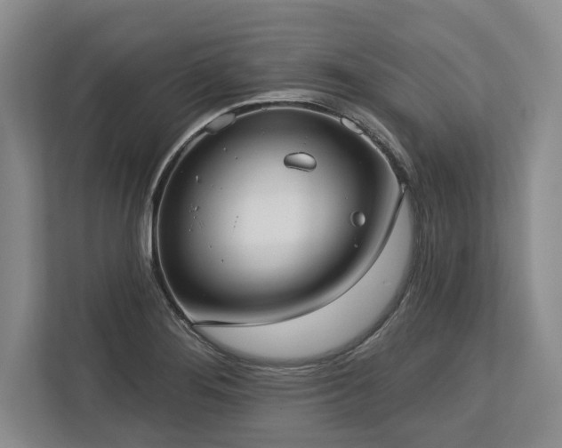 X0000113741276200909231145