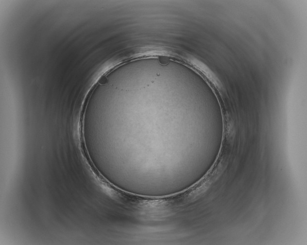 X0000113741282200909231145