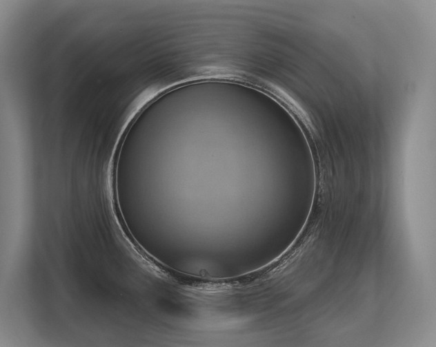 X0000113741291200909231144