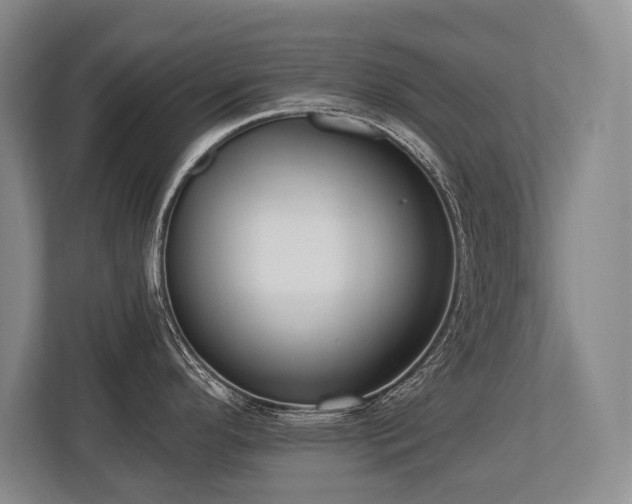 X0000113741296200909231144