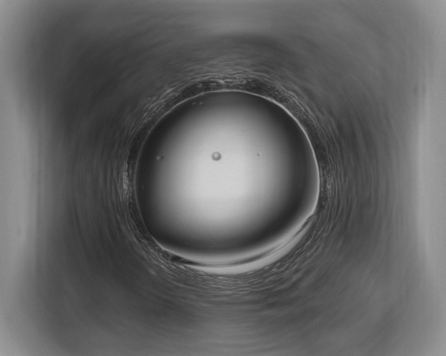 X0000113741298200909231144