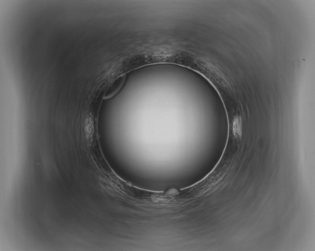 X0000113741299200909231144