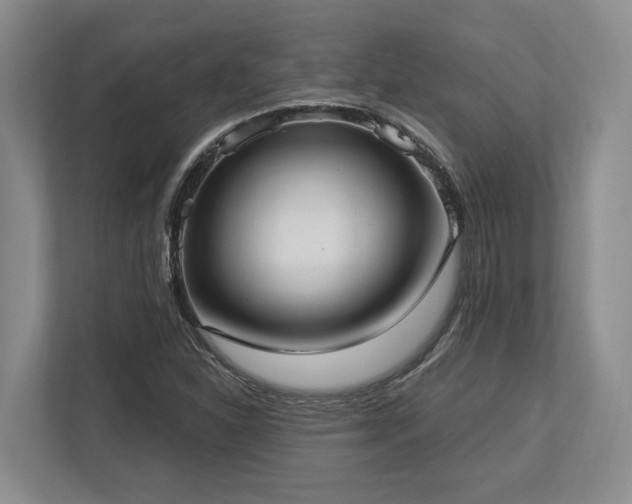 X0000113741310200909231144