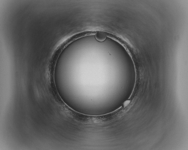 X0000113741311200909231144