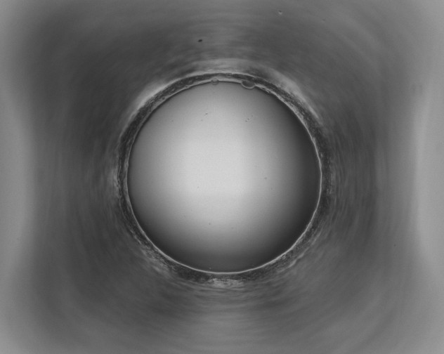 X0000113741312200909231144