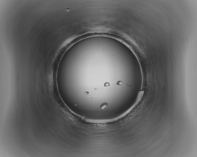 X0000113741315200909231144