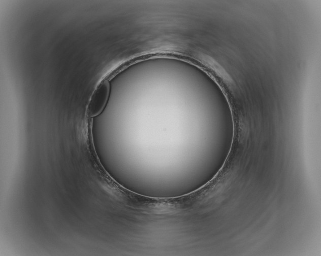 X0000113741316200909231144