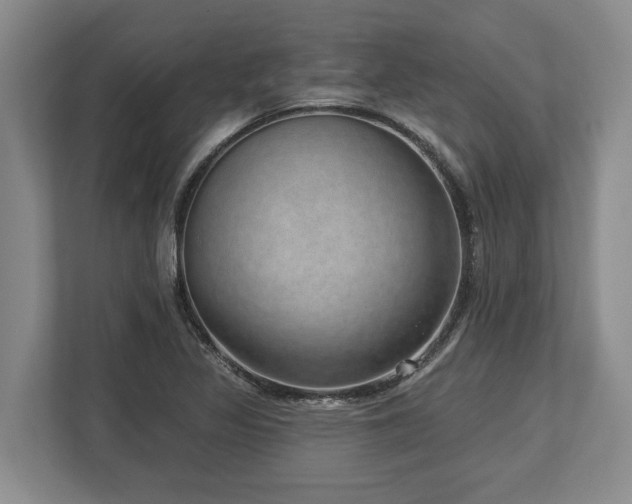 X0000113741317200909231144