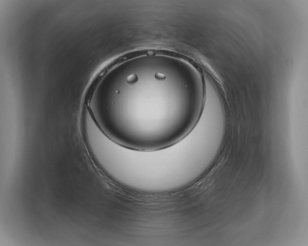 X0000113741320200909231144