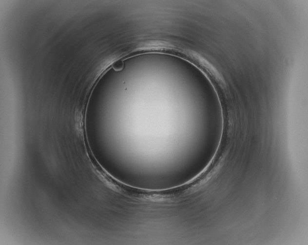 X0000113741329200909231144