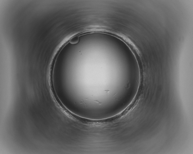 X0000113741333200909231144
