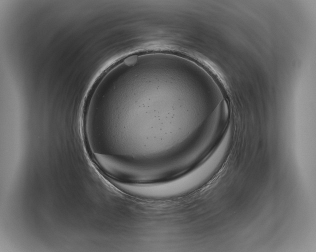 X0000113741334200909231144