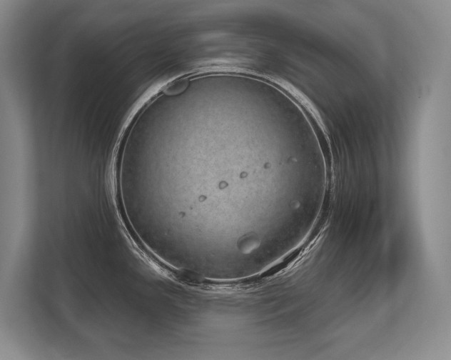 X0000113741341200909231144