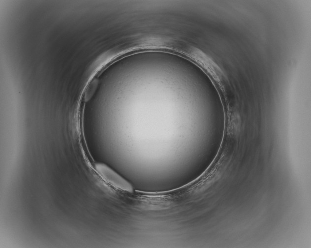 X0000113741342200909231144