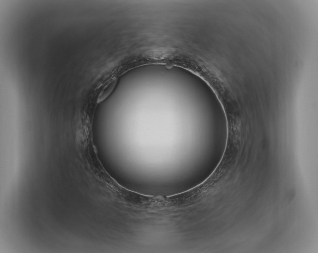 X0000113741349200909231144