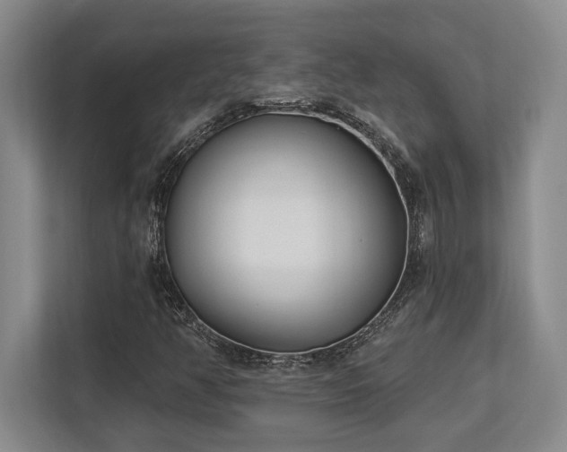 X0000113741350200909231144
