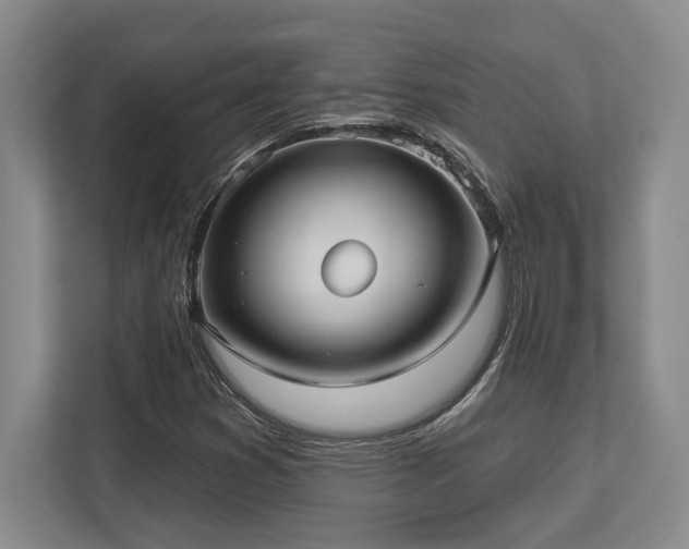 X0000113741353200909231143