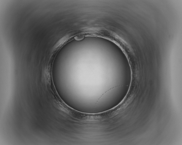X0000113741354200909231143