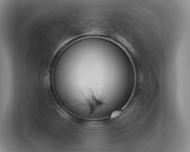 X0000113741356200909231143