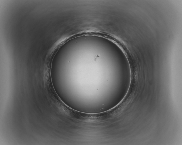 X0000113741359200909231143