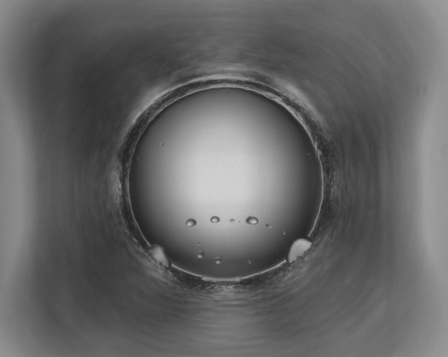 X0000113741360200909231143
