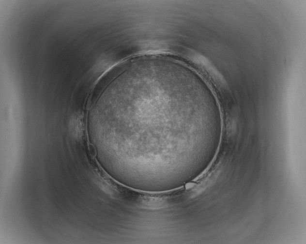 X0000113741361200909231143