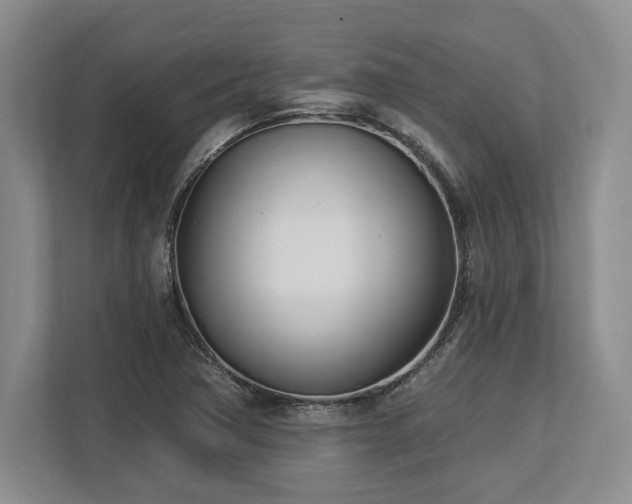 X0000113741362200909231143