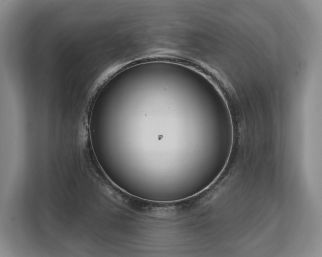 X0000113741363200909231143