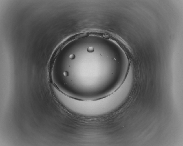 X0000113741364200909231143