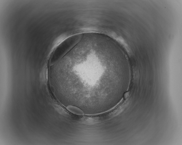 X0000113741365200909231143