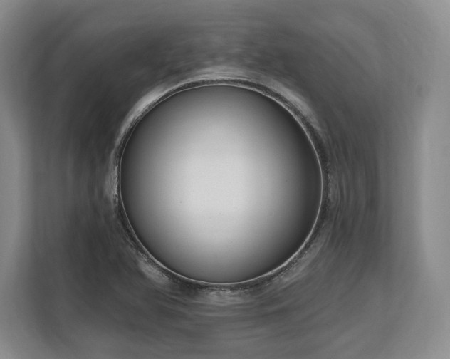 X0000113741366200909231143