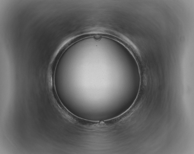 X0000113741368200909231143
