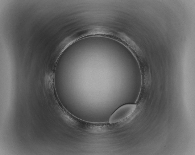 X0000113741369200909231143