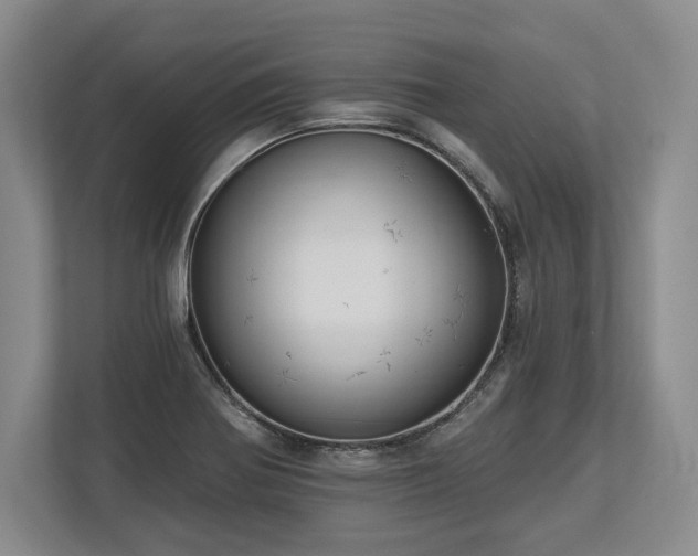 X0000113741370200909231143