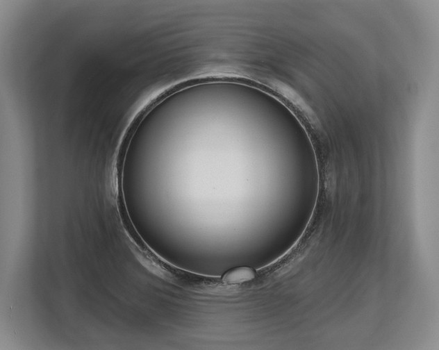 X0000113741372200909231143